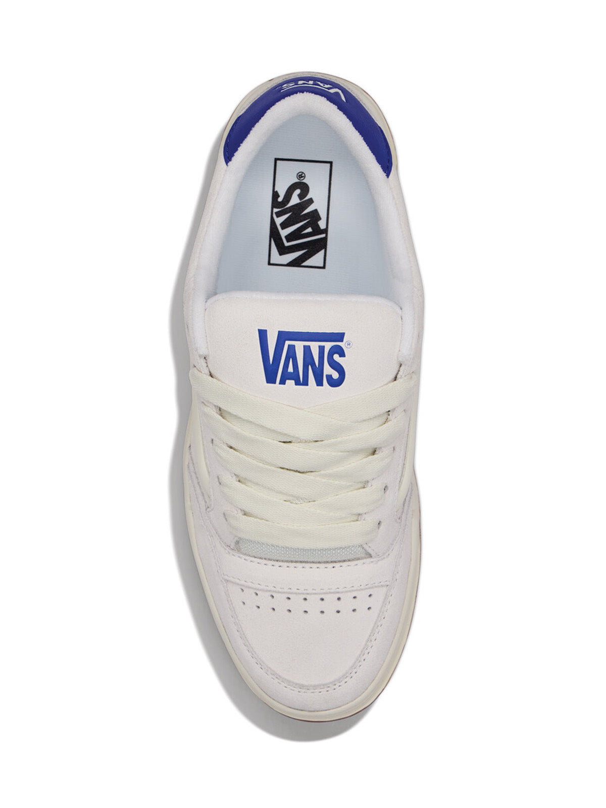 Zapatilla Adulto Hylane Blanco Vans