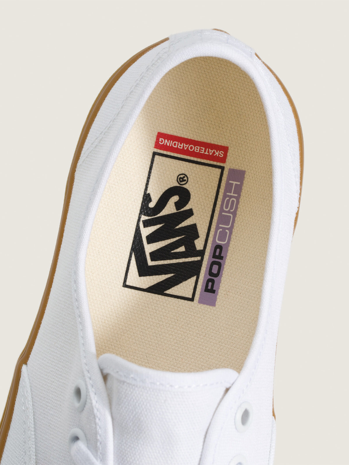 Zapatilla Hombre Skate Authentic Blanco Vans