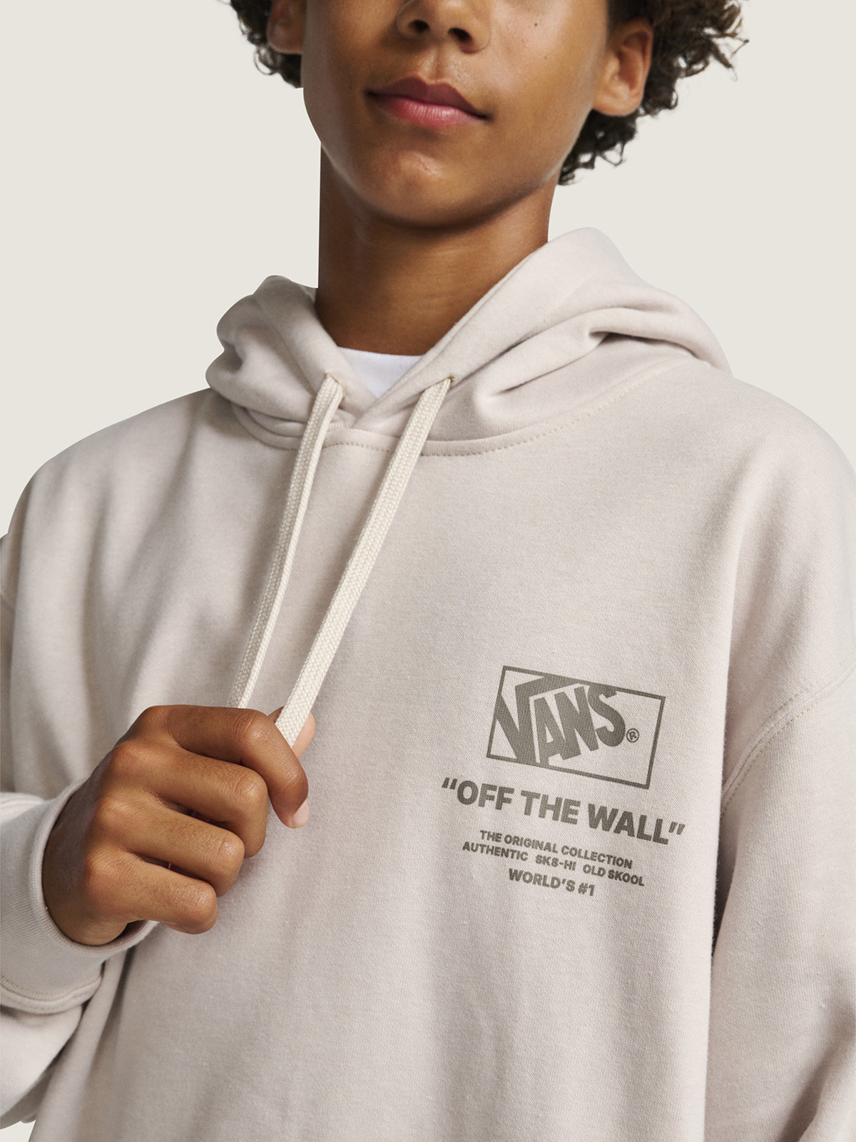 Poleron Hombre Style 001 Pullover Beige Vans