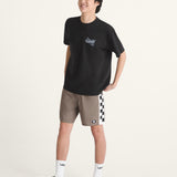 Shorts Hombre Daily Sideline Gris Vans