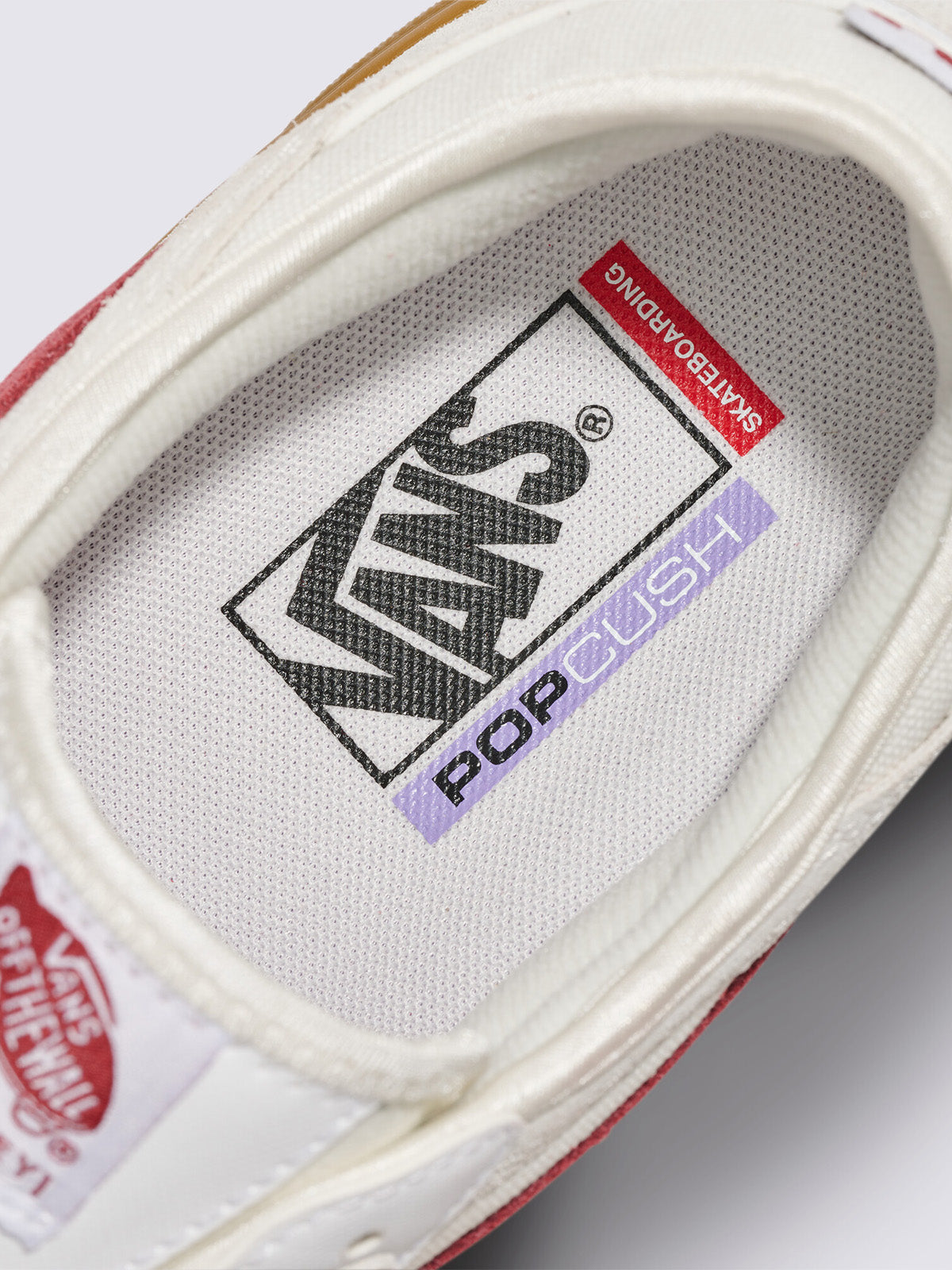 Zapatilla Adulto Skate Rowley Blanco Vans