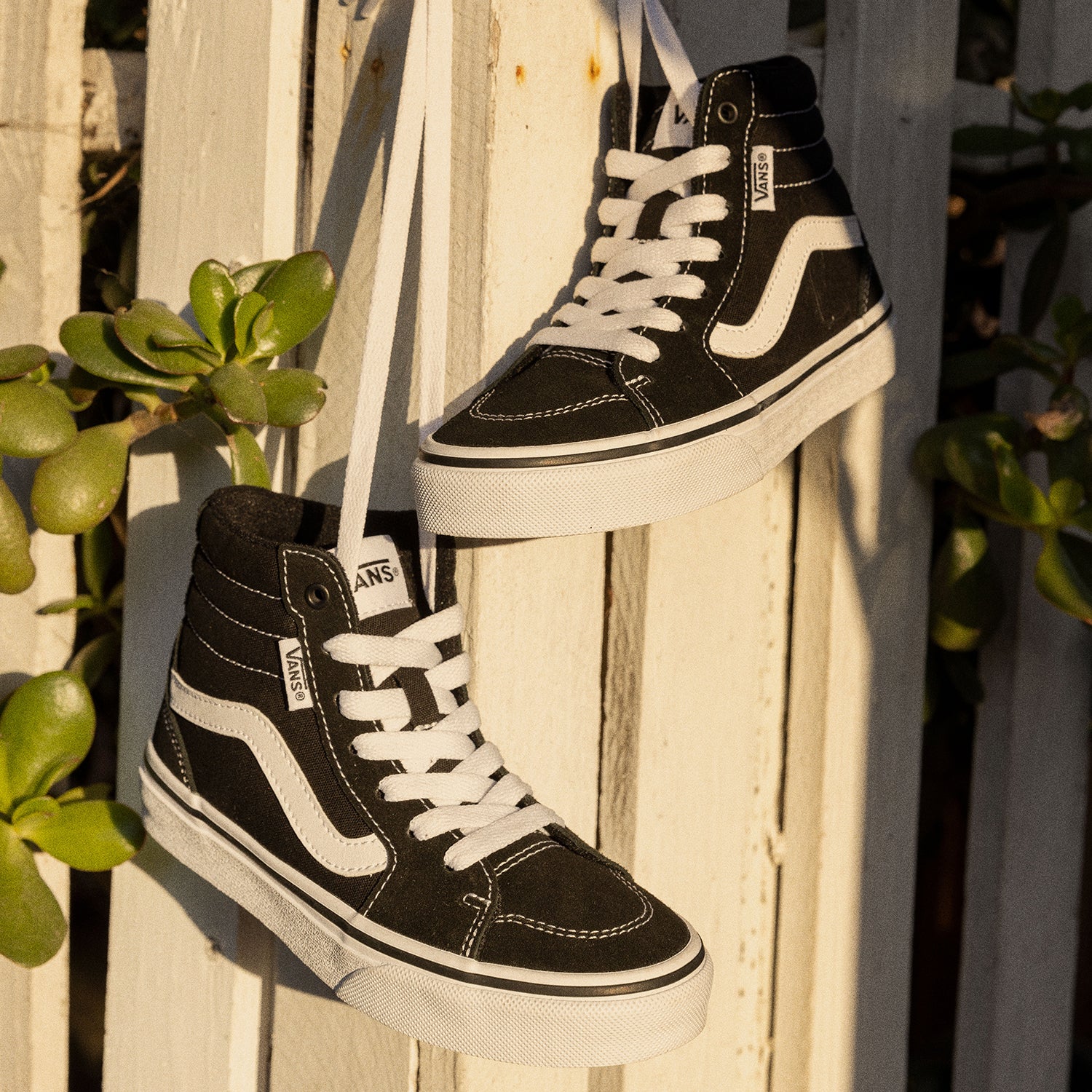 Zapatilla Niño Filmore Hi Negro Vans
